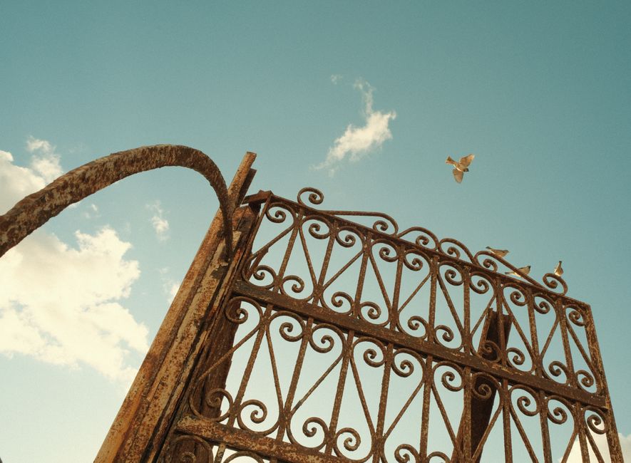 An ornate metal gate seen from the front